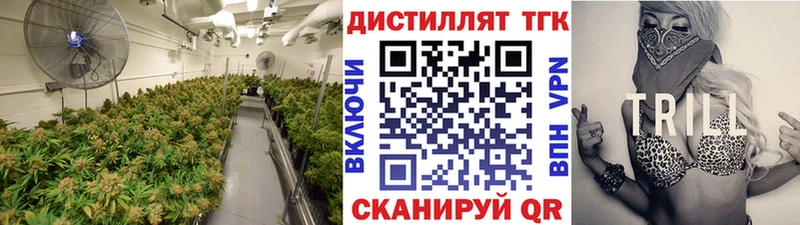 Купить закладки  Пушкино  Дистиллят ТГК гашишное масло 