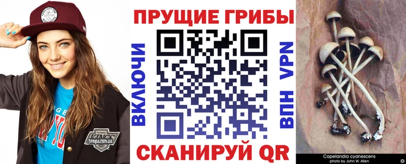 Псилоцибиновые грибы мухоморы  Купить закладки  Пушкино 
